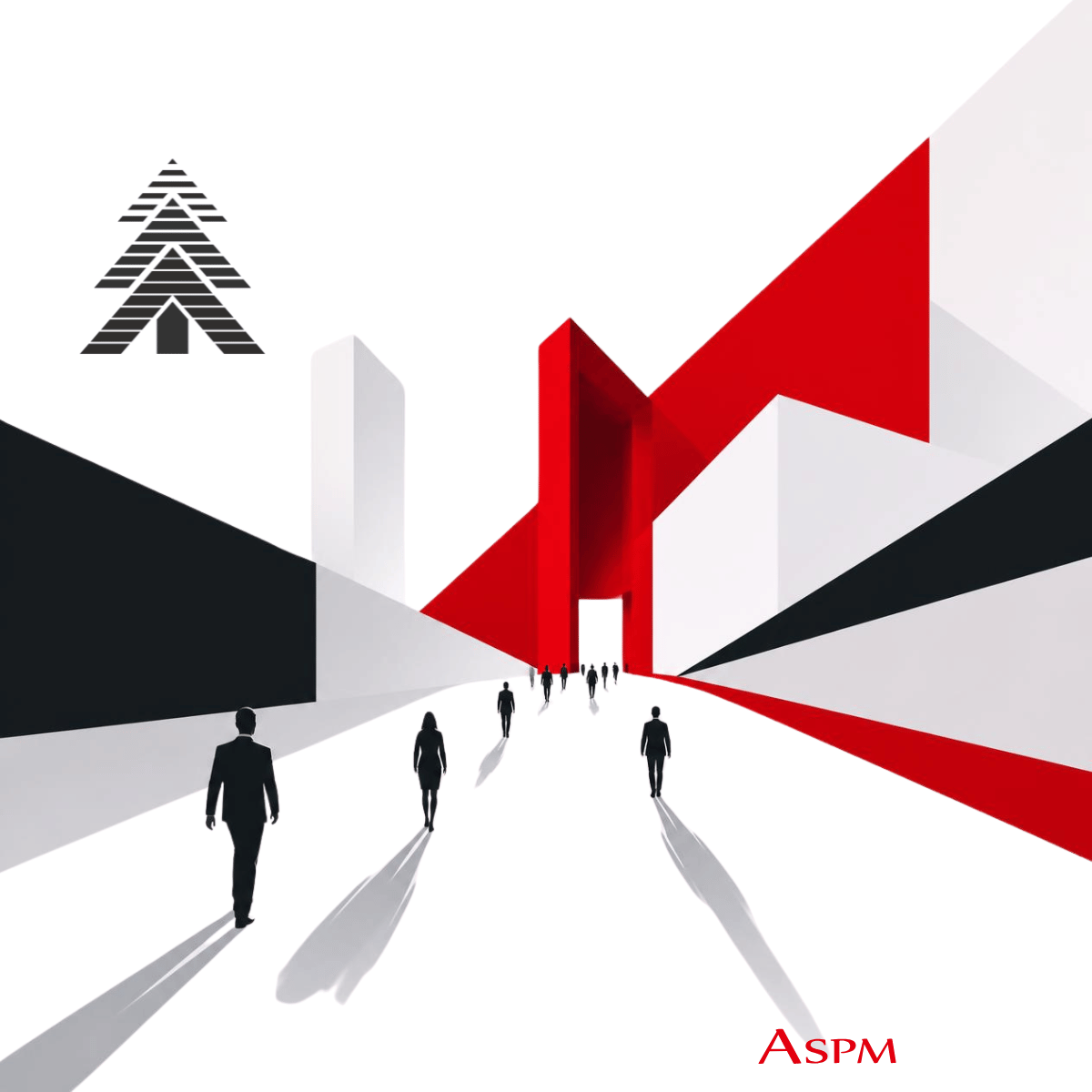 ASPM Consulting approach