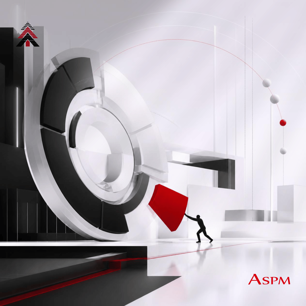 ASPM Consulting business excellence