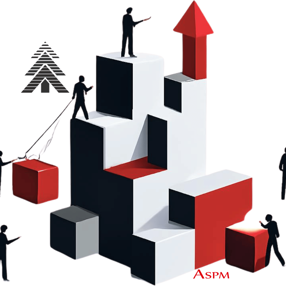ASPM Consulting vision