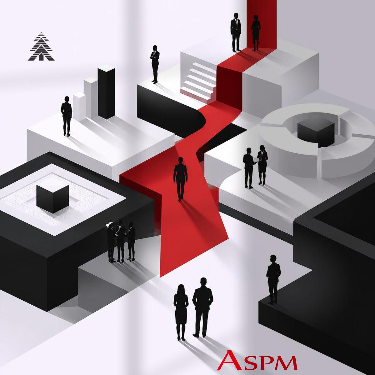 Why Choose ASPM Consulting (6)